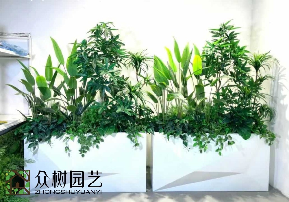 震撼發(fā)現(xiàn)！蘇州綠植租賃：為城市空間注入綠色活力