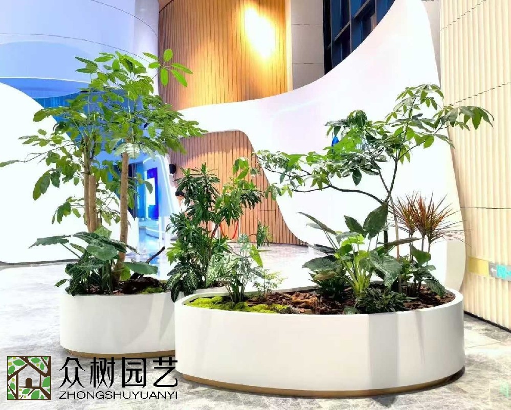 蘇州植物租賃與養(yǎng)護(hù)服務(wù)完全指南