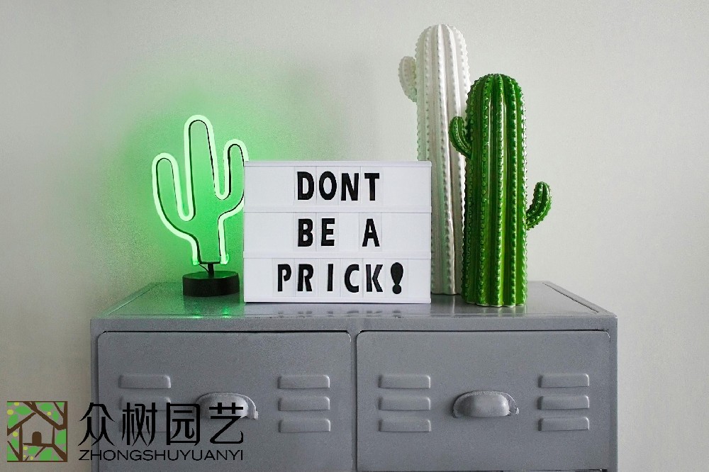 蘇州辦公室綠植租擺費用詳解：挑選最優(yōu)質(zhì)、最劃算的環(huán)境美化方案