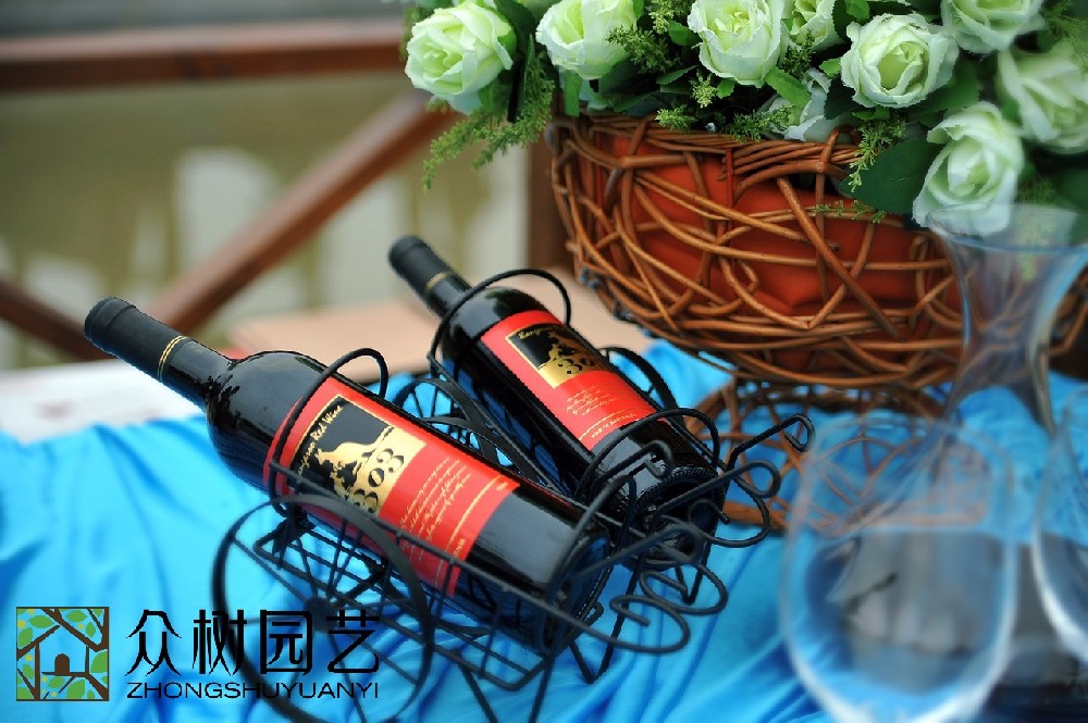 蘇州室外綠植租擺廠家：提升你的空間品質(zhì)的卓越選擇